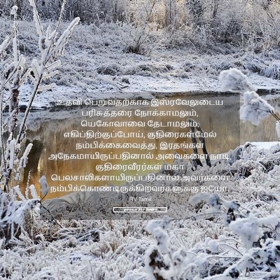 Picture 05 - ஏசாயா 31:1 TAMIRV - உதவி பெறுவதற்காக - Bible Verse Picture