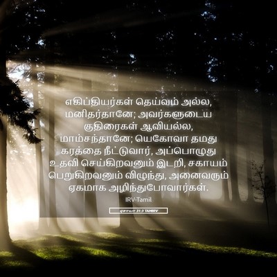 Picture 05 - ஏசாயா 31:3 TAMIRV - எகிப்தியர்கள் - Bible Verse Picture