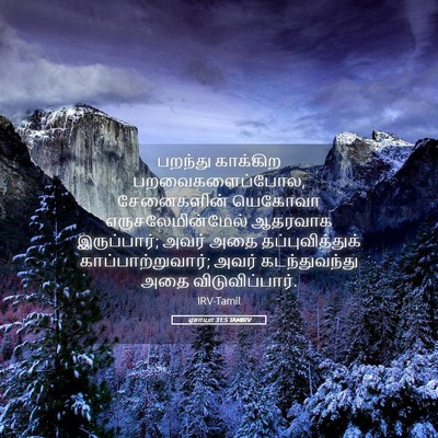 Picture 05 - ஏசாயா 31:5 TAMIRV - பறந்து காக்கிற - Bible Verse Picture