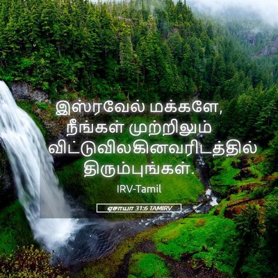 Picture 05 - ஏசாயா 31:6 TAMIRV - இஸ்ரவேல் மக்களே, - Bible Verse Picture