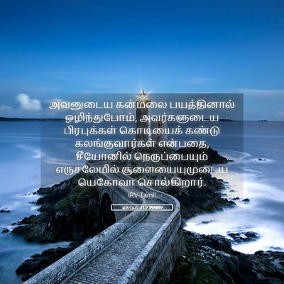 Picture 05 - ஏசாயா 31:9 TAMIRV - அவனுடைய கன்மலை - Bible Verse Picture