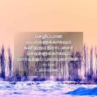 Picture 05 - ஏசாயா 32:12 TAMIRV - செழிப்பான - Bible Verse Picture