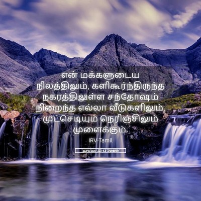 Picture 05 - ஏசாயா 32:13 TAMIRV - என் மக்களுடைய - Bible Verse Picture