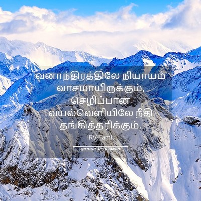 Picture 05 - ஏசாயா 32:16 TAMIRV - வனாந்திரத்திலே - Bible Verse Picture