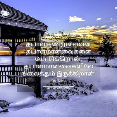 Picture 05 - ஏசாயா 32:8 TAMIRV - தயாளகுணமுள்ளவன் - Bible Verse Picture