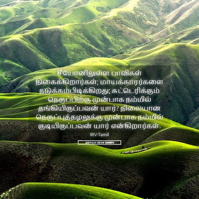 Picture 05 - ஏசாயா 33:14 TAMIRV - சீயோனிலுள்ள - Bible Verse Picture