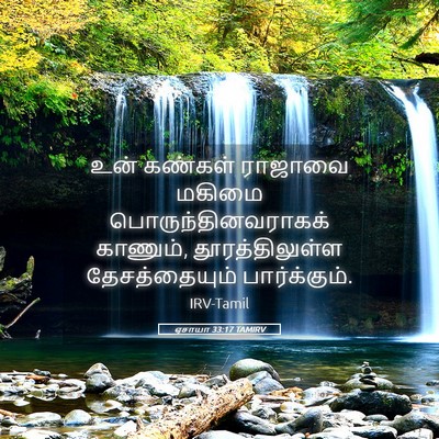 Picture 05 - ஏசாயா 33:17 TAMIRV - உன் கண்கள் ராஜாவை - Bible Verse Picture