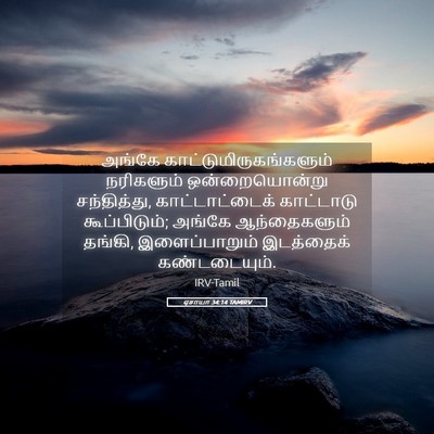 Picture 05 - ஏசாயா 34:14 TAMIRV - அங்கே - Bible Verse Picture