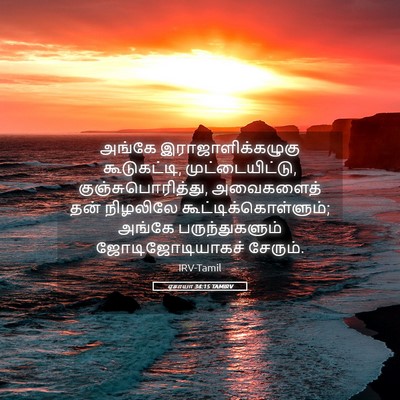 Picture 05 - ஏசாயா 34:15 TAMIRV - அங்கே - Bible Verse Picture