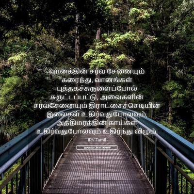 Picture 05 - ஏசாயா 34:4 TAMIRV - வானத்தின் சர்வ - Bible Verse Picture
