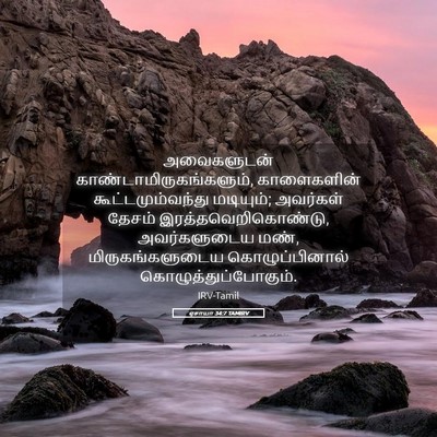 Picture 05 - ஏசாயா 34:7 TAMIRV - அவைகளுடன் - Bible Verse Picture