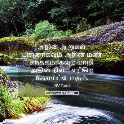 Picture 05 - ஏசாயா 34:9 TAMIRV - அதின் ஆறுகள் - Bible Verse Picture