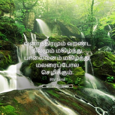 Picture 05 - ஏசாயா 35:1 TAMIRV - வனாந்திரமும் - Bible Verse Picture