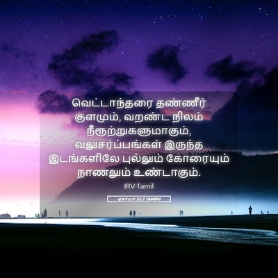 Picture 05 - ஏசாயா 35:7 TAMIRV - வெட்டாந்தரை - Bible Verse Picture