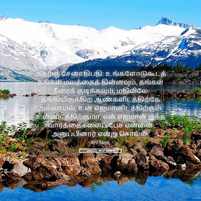 Picture 05 - ஏசாயா 36:12 TAMIRV - அதற்கு சேனாதிபதி: - Bible Verse Picture