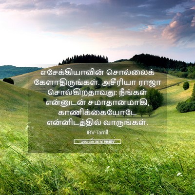 Picture 05 - ஏசாயா 36:16 TAMIRV - எசேக்கியாவின் - Bible Verse Picture