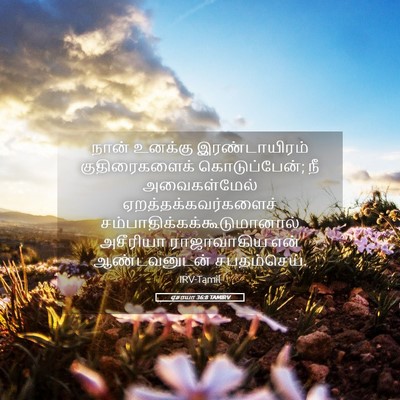 Picture 05 - ஏசாயா 36:8 TAMIRV - நான் உனக்கு - Bible Verse Picture