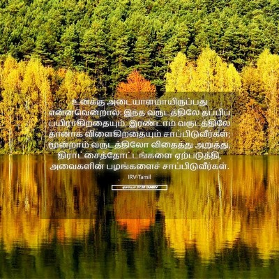 Picture 05 - ஏசாயா 37:30 TAMIRV - உனக்கு - Bible Verse Picture