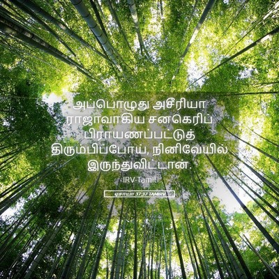 Picture 05 - ஏசாயா 37:37 TAMIRV - அப்பொழுது அசீரியா - Bible Verse Picture
