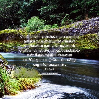 Picture 05 - ஏசாயா 38:20 TAMIRV - யெகோவா என்னை - Bible Verse Picture
