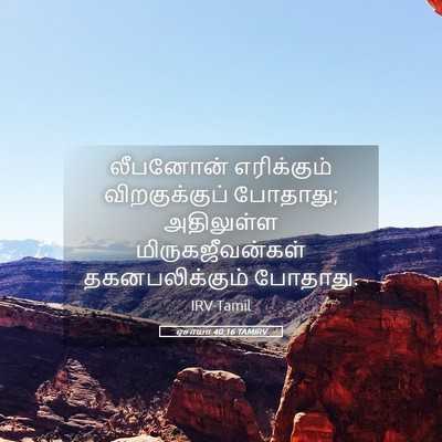 Picture 05 - ஏசாயா 40:16 TAMIRV - லீபனோன் எரிக்கும் - Bible Verse Picture