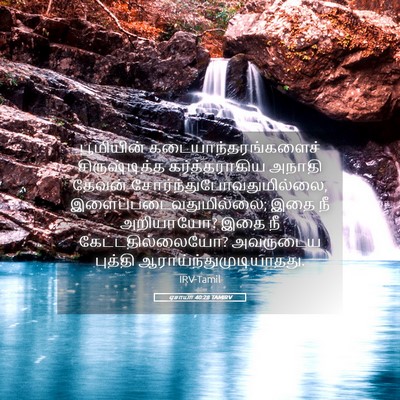 Picture 05 - ஏசாயா 40:28 TAMIRV - பூமியின் - Bible Verse Picture
