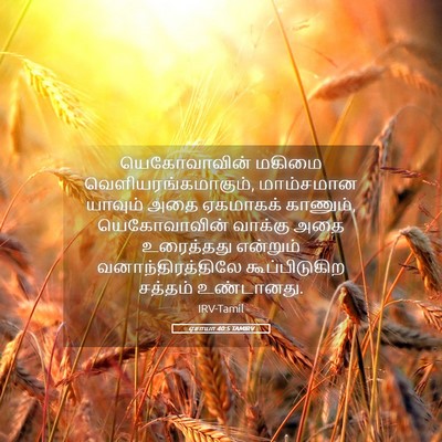 Picture 05 - ஏசாயா 40:5 TAMIRV - யெகோவாவின் மகிமை - Bible Verse Picture