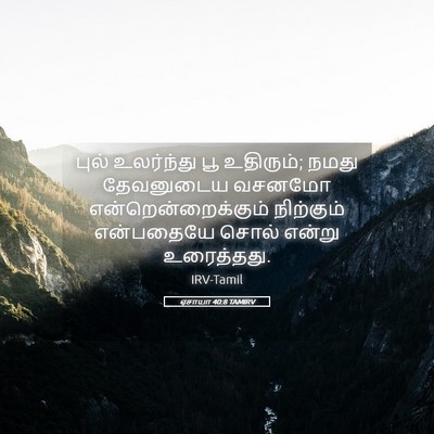 Picture 05 - ஏசாயா 40:8 TAMIRV - புல் உலர்ந்து பூ - Bible Verse Picture