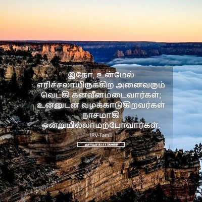 Picture 05 - ஏசாயா 41:11 TAMIRV - இதோ, உன்மேல் - Bible Verse Picture