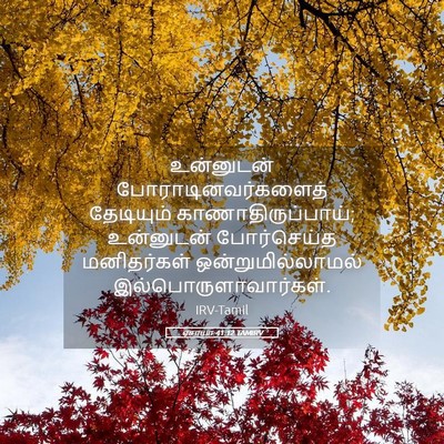 Picture 05 - ஏசாயா 41:12 TAMIRV - உன்னுடன் - Bible Verse Picture