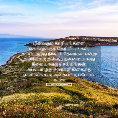 Picture 05 - ஏசாயா 41:23 TAMIRV - பின்வரும் - Bible Verse Picture