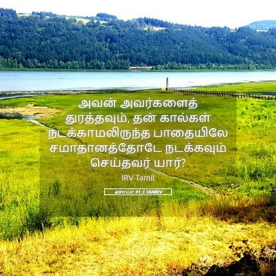 Picture 05 - ஏசாயா 41:3 TAMIRV - அவன் அவர்களைத் - Bible Verse Picture