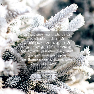 Picture 05 - ஏசாயா 42:1 TAMIRV - இதோ, நான் - Bible Verse Picture