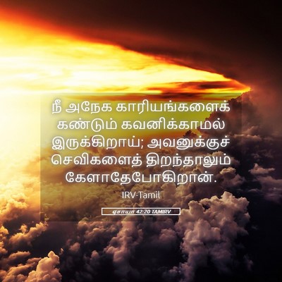Picture 05 - ஏசாயா 42:20 TAMIRV - நீ அநேக - Bible Verse Picture