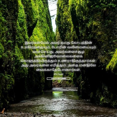 Picture 05 - ஏசாயா 42:25 TAMIRV - இவர்கள்மேல் அவர் - Bible Verse Picture