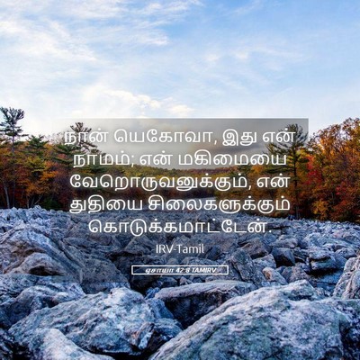 Picture 05 - ஏசாயா 42:8 TAMIRV - நான் யெகோவா, இது - Bible Verse Picture