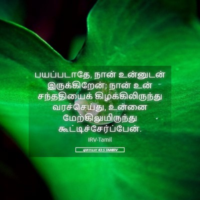 Picture 05 - ஏசாயா 43:5 TAMIRV - பயப்படாதே, நான் - Bible Verse Picture