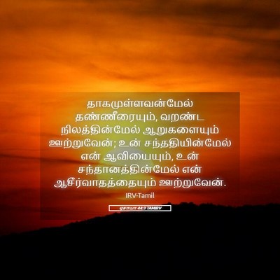 Picture 05 - ஏசாயா 44:3 TAMIRV - தாகமுள்ளவன்மேல் - Bible Verse Picture