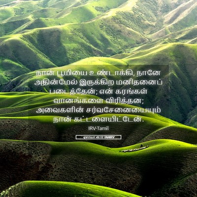 Picture 05 - ஏசாயா 45:12 TAMIRV - நான் பூமியை - Bible Verse Picture