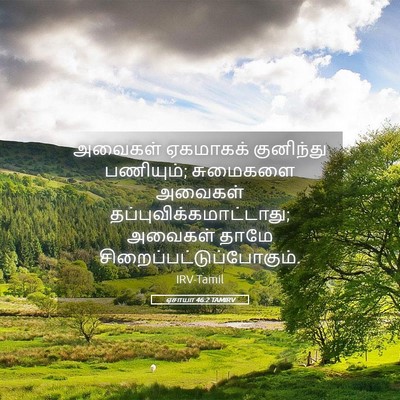Picture 05 - ஏசாயா 46:2 TAMIRV - அவைகள் ஏகமாகக் - Bible Verse Picture