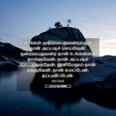 Picture 05 - ஏசாயா 46:4 TAMIRV - உங்கள் - Bible Verse Picture