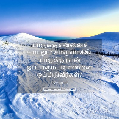 Picture 05 - ஏசாயா 46:5 TAMIRV - யாருக்கு என்னைச் - Bible Verse Picture