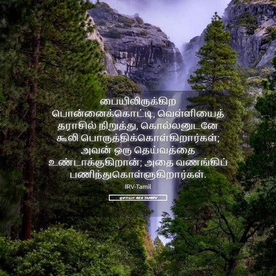 Picture 05 - ஏசாயா 46:6 TAMIRV - பையிலிருக்கிற - Bible Verse Picture