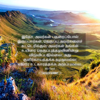 Picture 05 - ஏசாயா 47:14 TAMIRV - இதோ, அவர்கள் - Bible Verse Picture