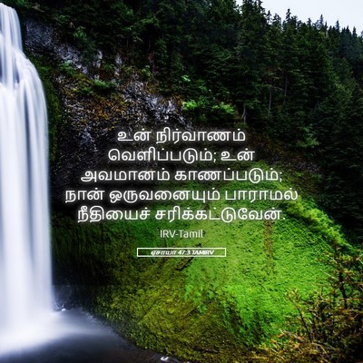 Picture 05 - ஏசாயா 47:3 TAMIRV - உன் நிர்வாணம் - Bible Verse Picture