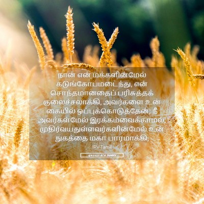 Picture 05 - ஏசாயா 47:6 TAMIRV - நான் என் - Bible Verse Picture