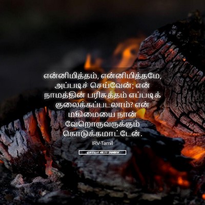 Picture 05 - ஏசாயா 48:11 TAMIRV - என்னிமித்தம், - Bible Verse Picture
