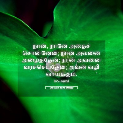 Picture 05 - ஏசாயா 48:15 TAMIRV - நான், நானே அதைச் - Bible Verse Picture