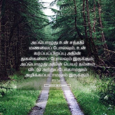 Picture 05 - ஏசாயா 48:19 TAMIRV - அப்பொழுது உன் - Bible Verse Picture