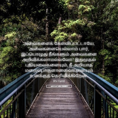 Picture 05 - ஏசாயா 48:6 TAMIRV - அவைகளைக் - Bible Verse Picture